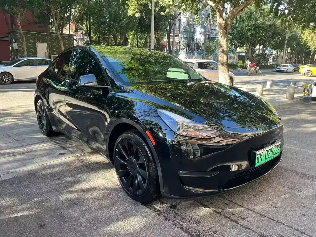 Tesla Model Y — фото 8