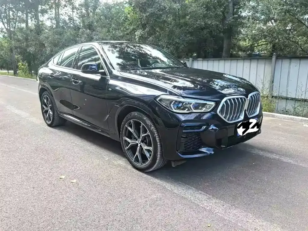 BMW X6 — фото 9