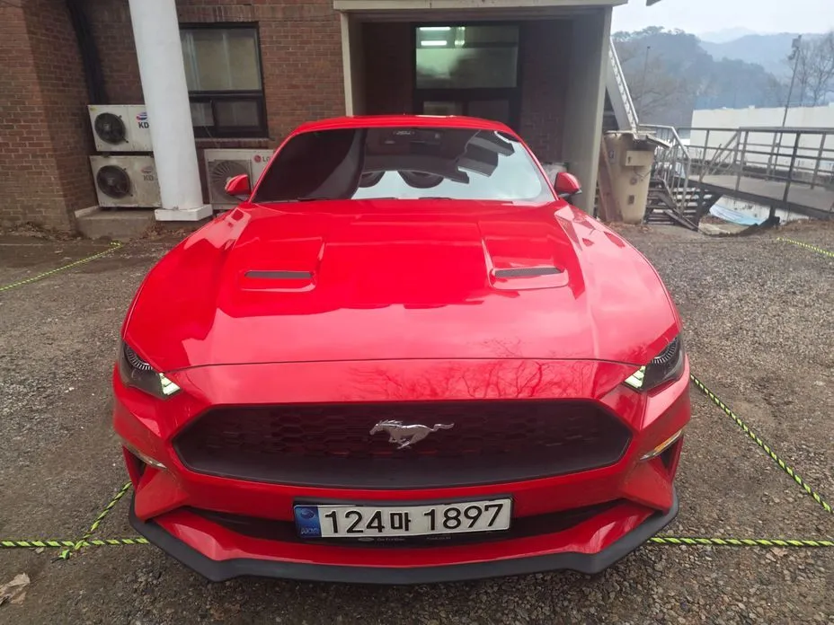 Ford Mustang — фото 1