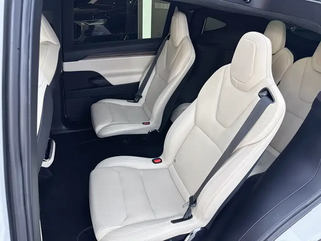 Tesla Model X — фото 9