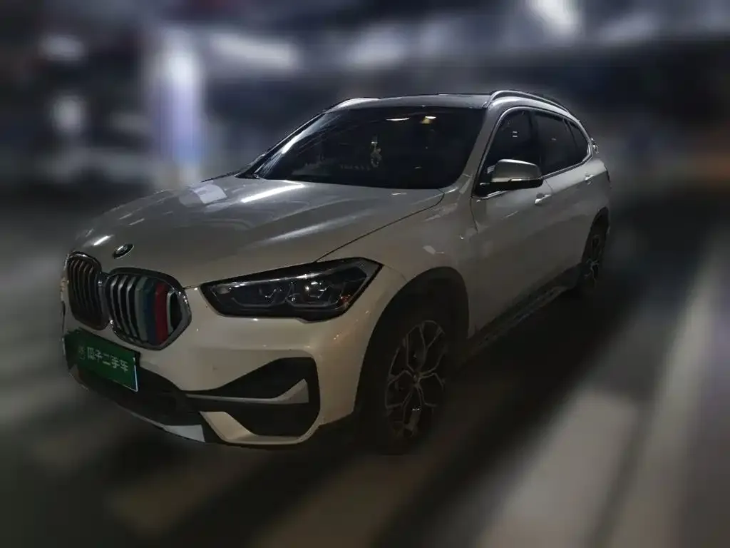 BMW X1 — фото 1
