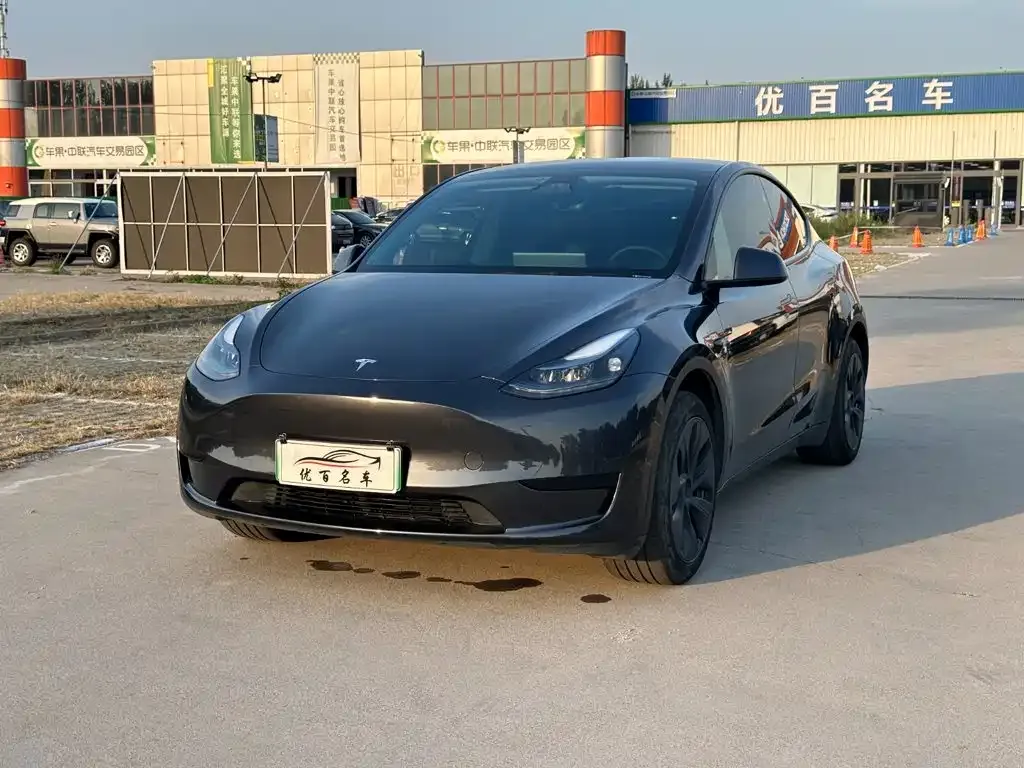 Tesla Model Y — фото 1