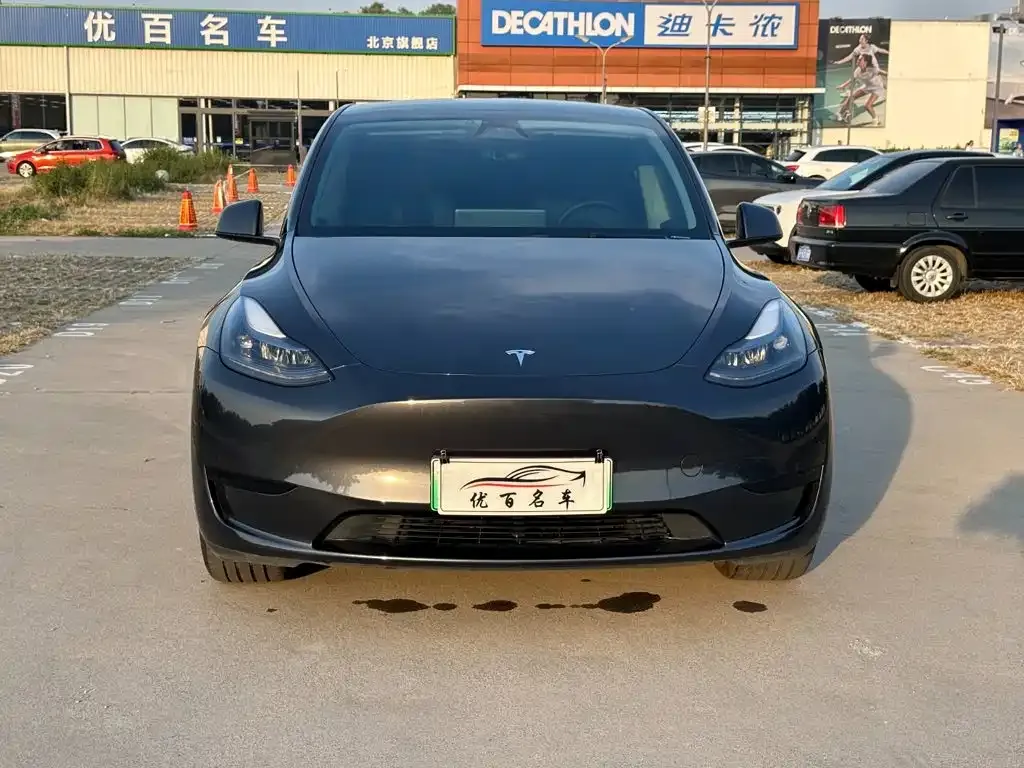 Tesla Model Y — фото 3