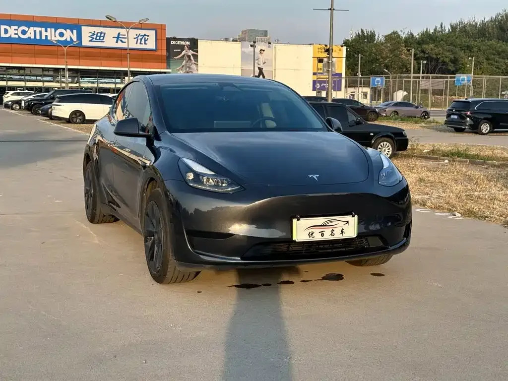 Tesla Model Y — фото 8