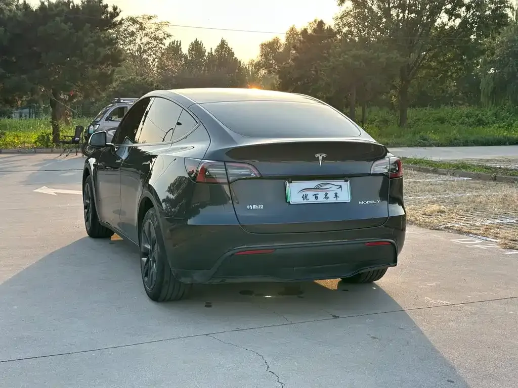 Tesla Model Y — фото 5