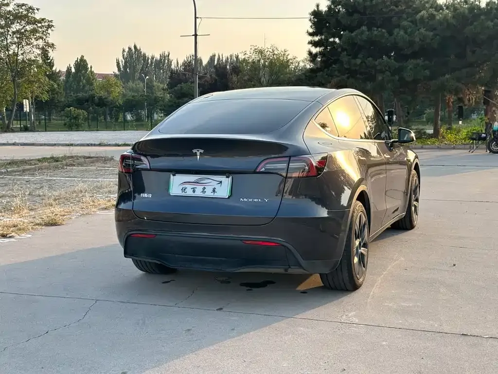 Tesla Model Y — фото 2