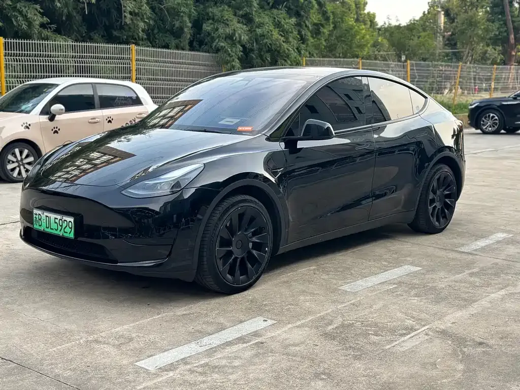 Tesla Model Y — фото 1