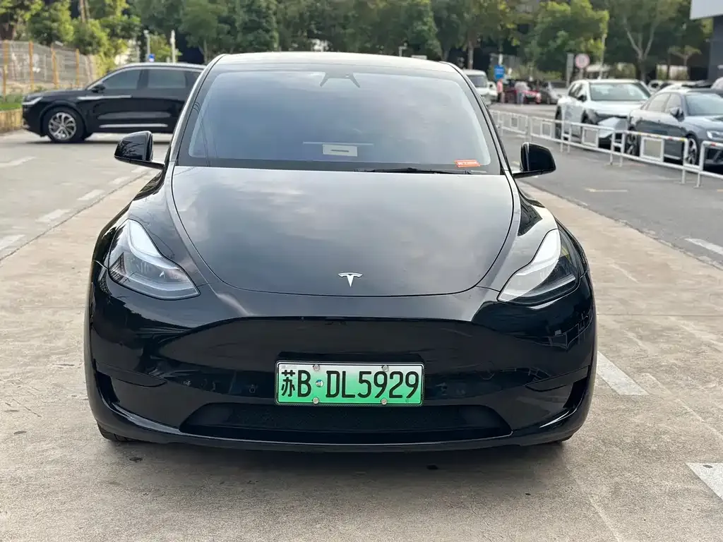Tesla Model Y — фото 9