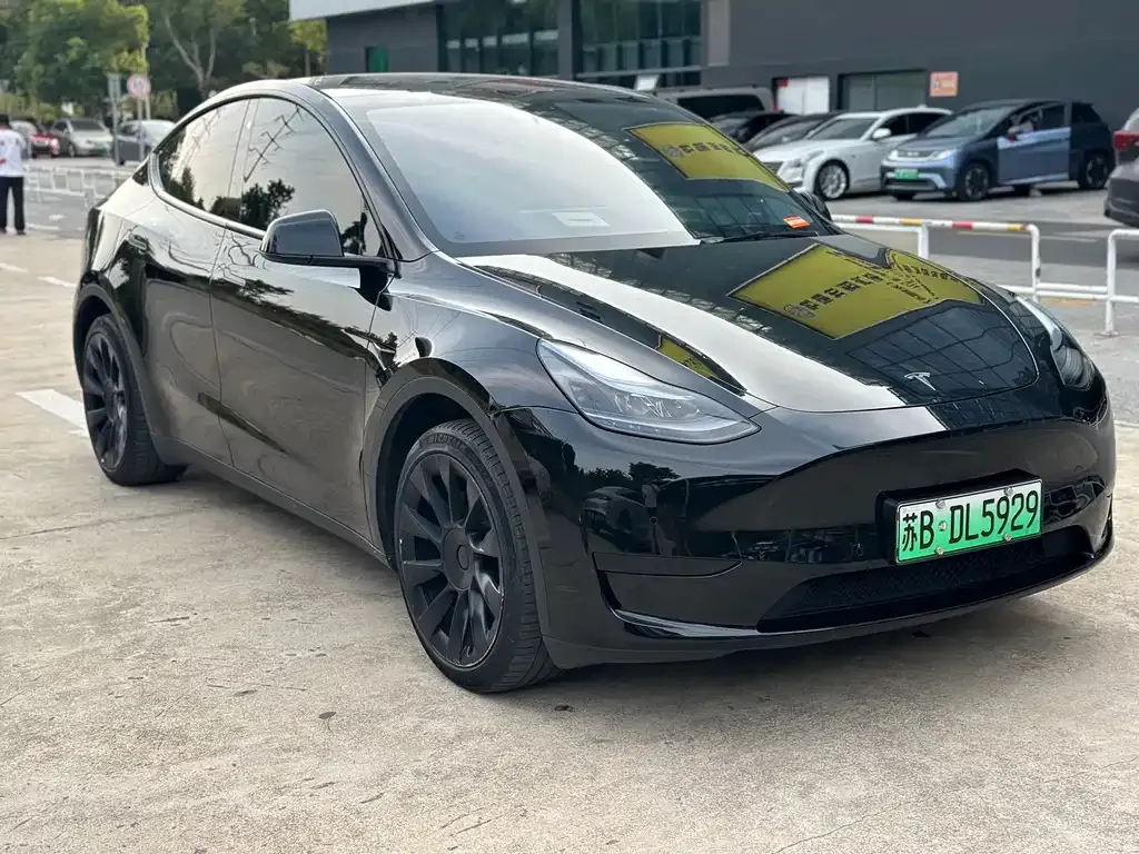 Tesla Model Y — фото 6