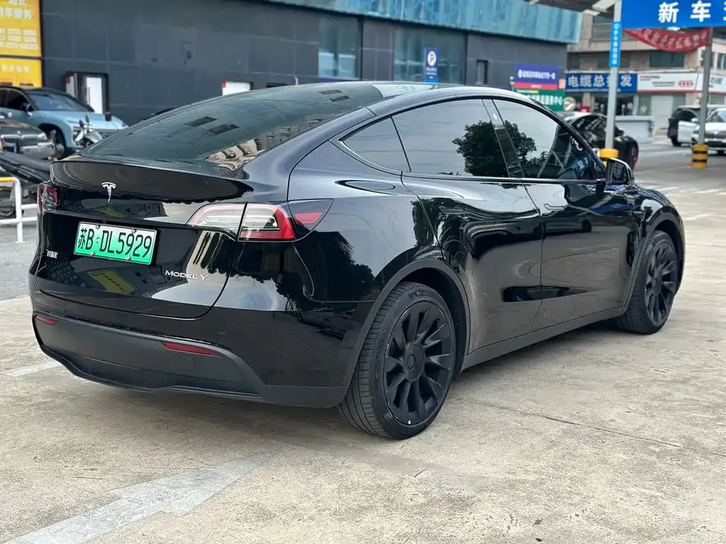 Tesla Model Y — фото 5