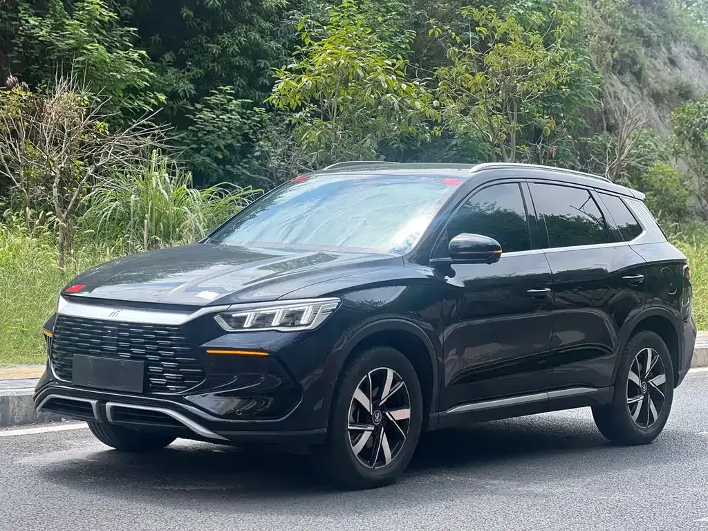 BYD Pro New Energy — фото 1