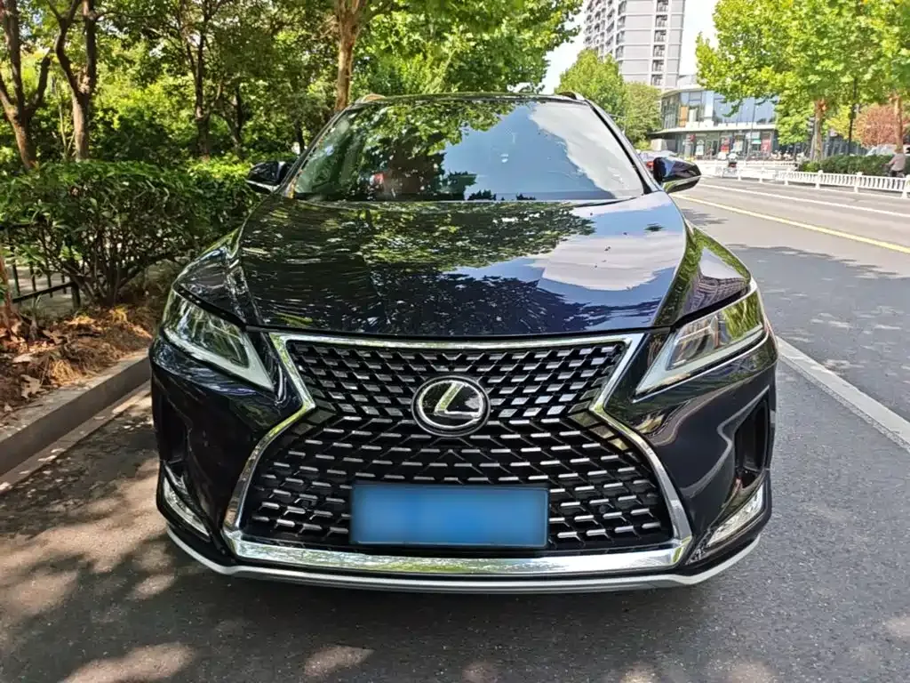 Lexus RX — фото 9