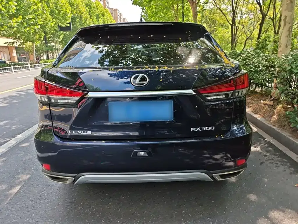 Lexus RX — фото 8