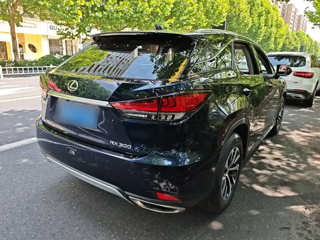 Lexus RX — фото 10