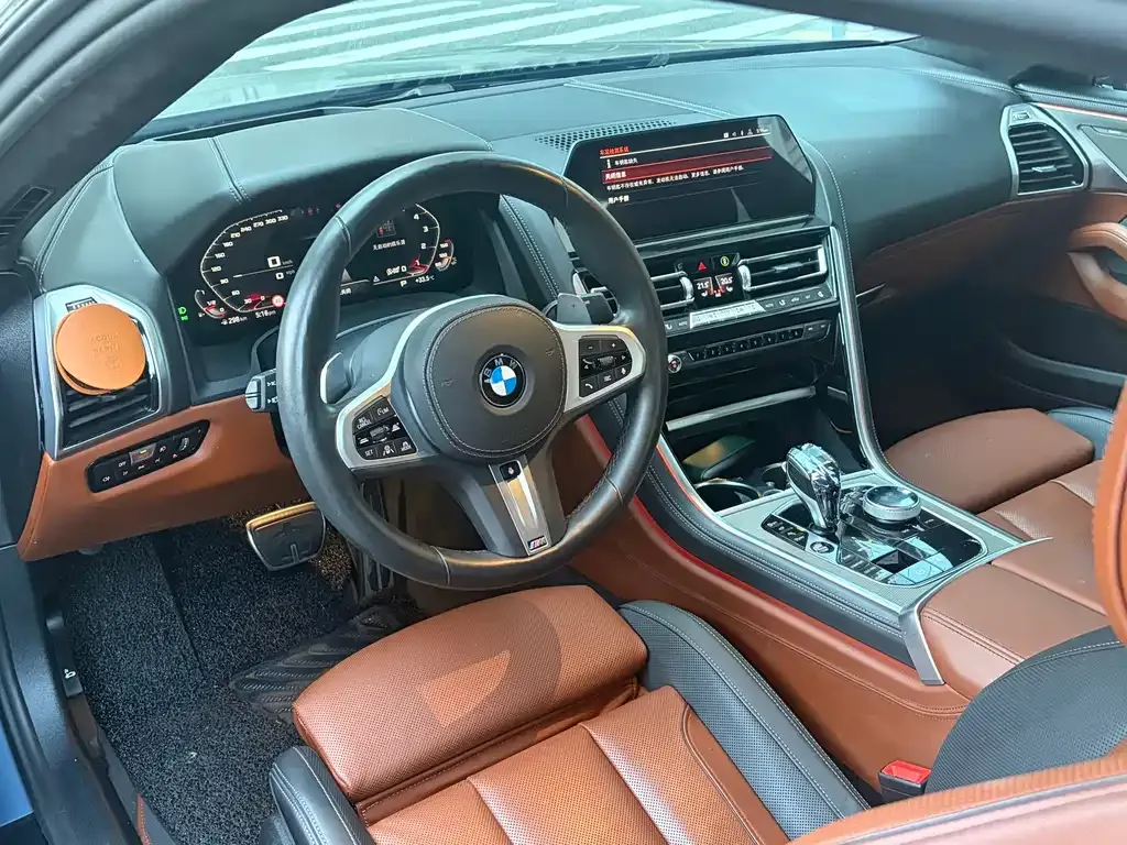 BMW 8 Series — фото 8