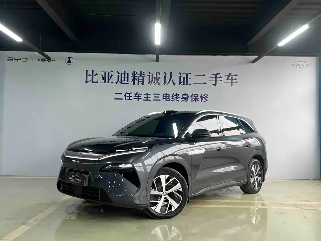BYD Tang L — фото 1