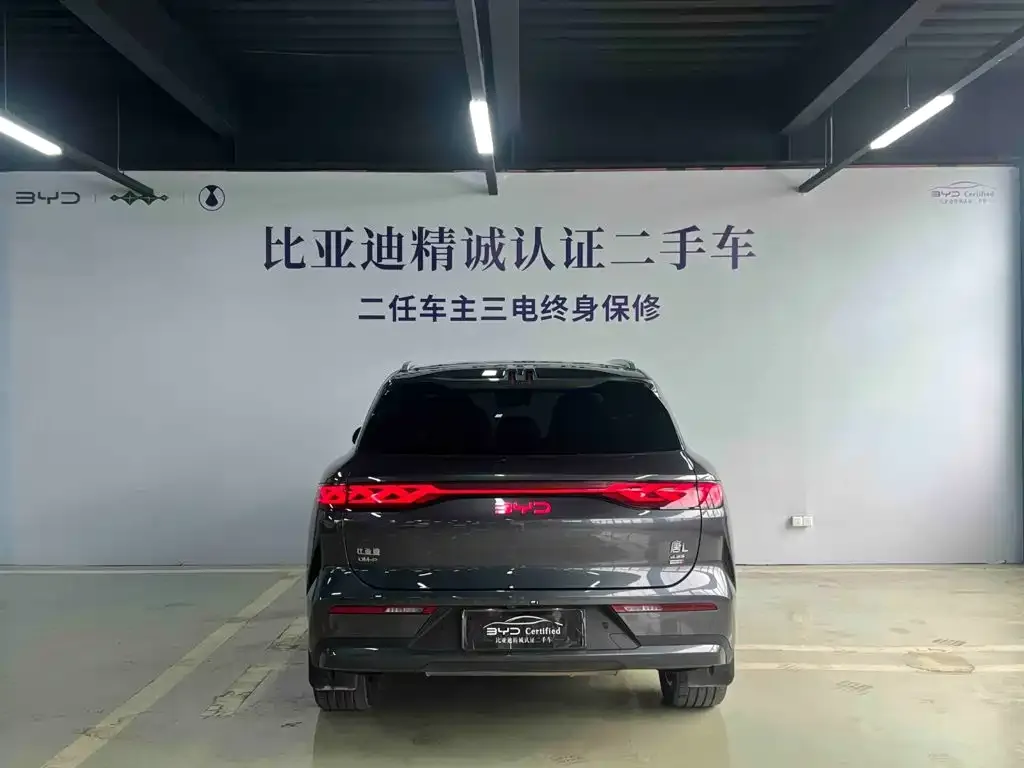 BYD Tang L — фото 2