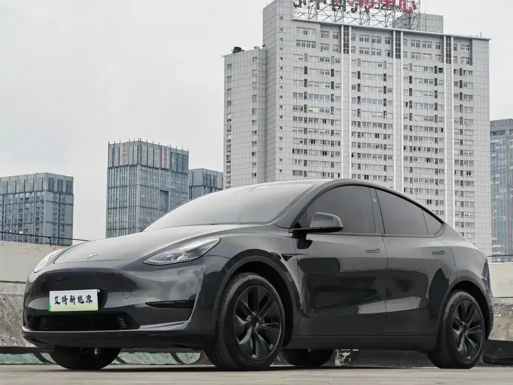 Tesla Model Y — фото 1
