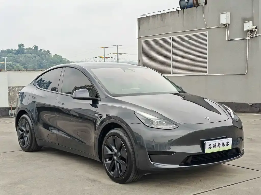 Tesla Model Y — фото 9