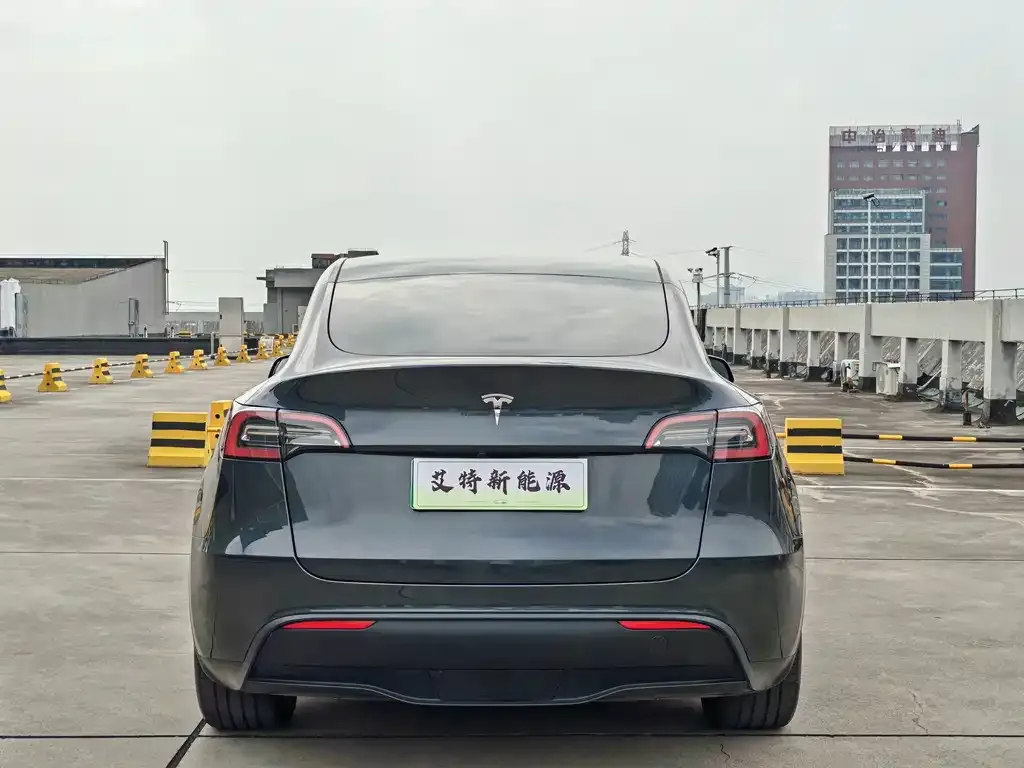 Tesla Model Y — фото 10