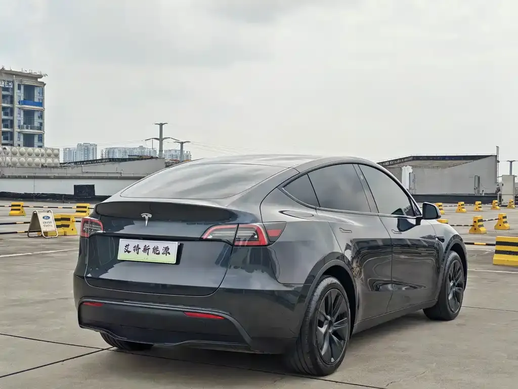 Tesla Model Y — фото 2