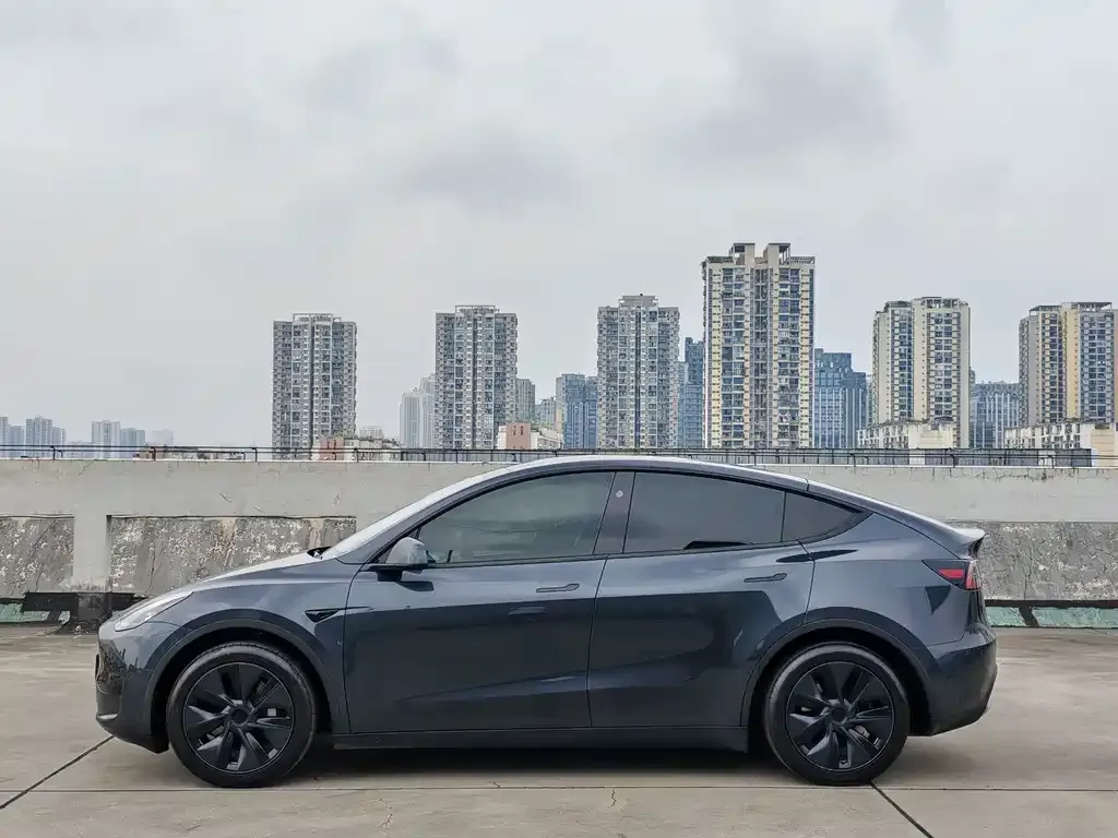Tesla Model Y — фото 5