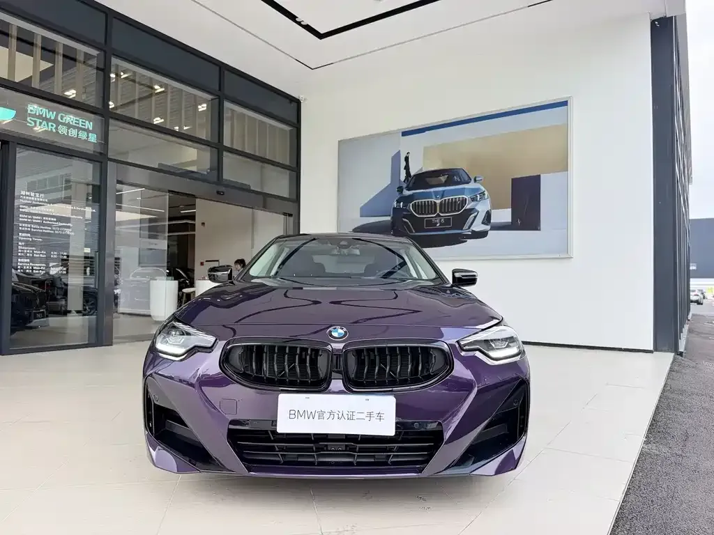 BMW 2 Series (Import) — фото 6