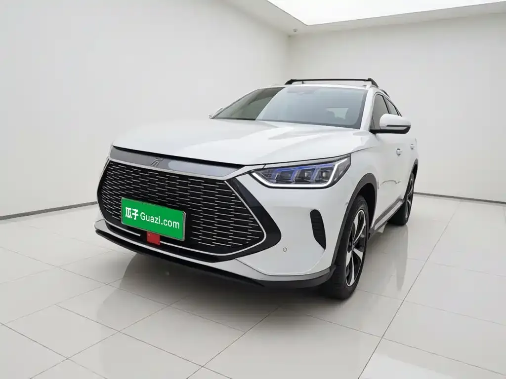 BYD PLUS New Energy — фото 1