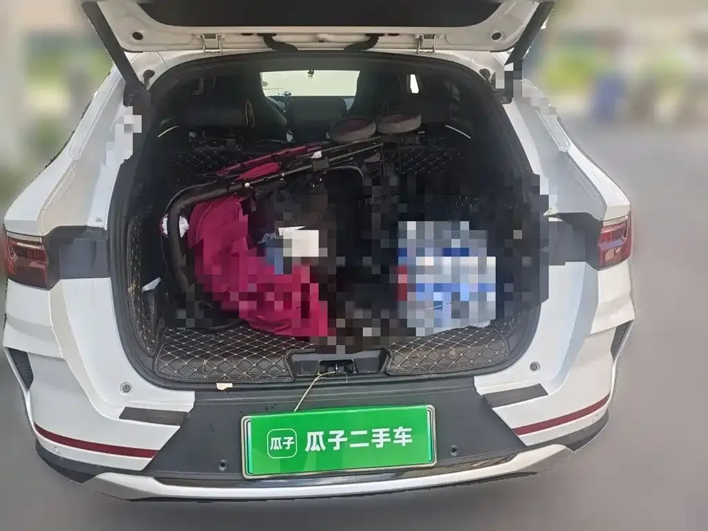 BYD PLUS New Energy — фото 8