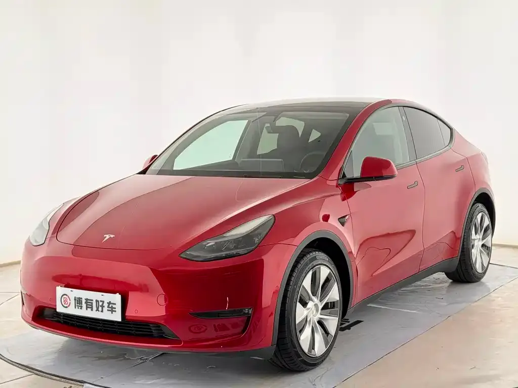 Tesla Model Y — фото 1