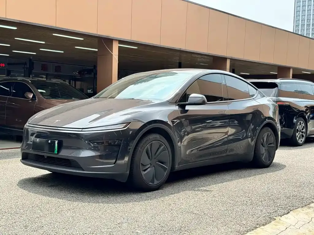 Tesla Model Y — фото 1