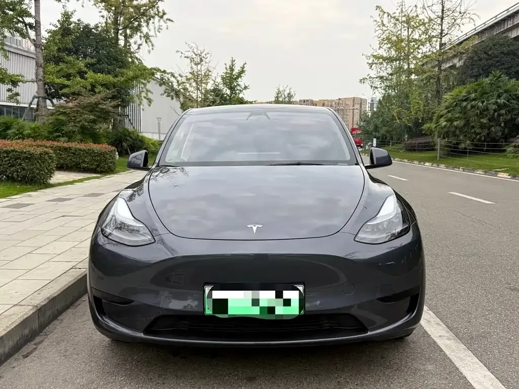 Tesla Model Y — фото 5