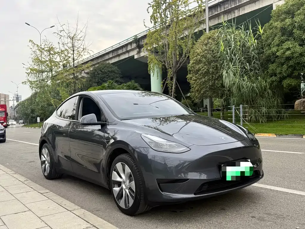 Tesla Model Y — фото 10