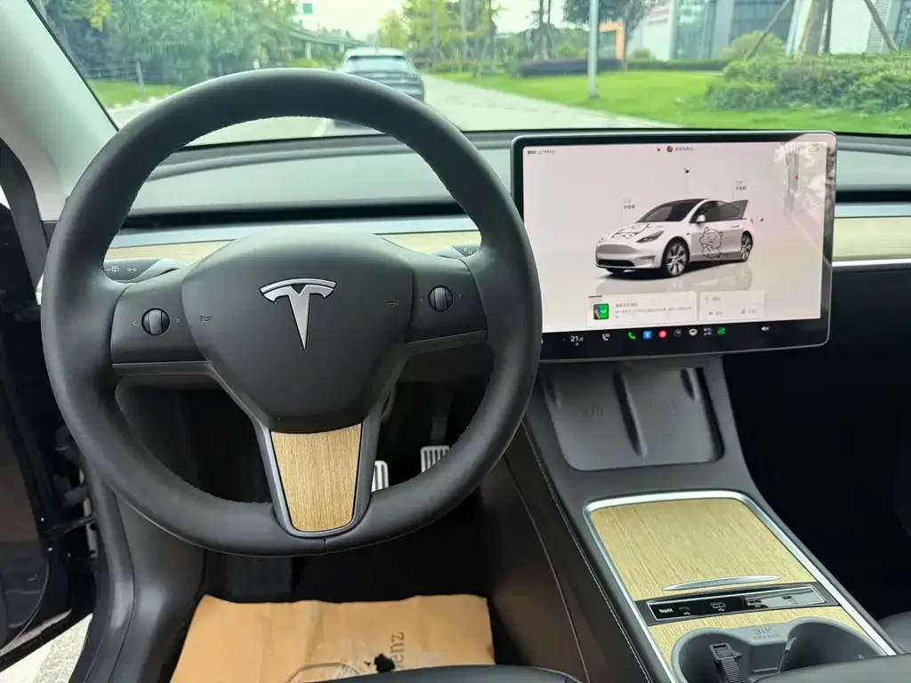 Tesla Model Y — фото 6