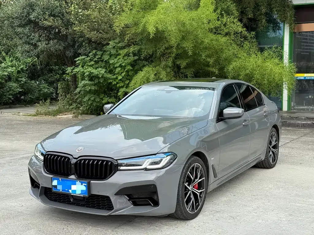 BMW 5 Series (Import) — фото 1