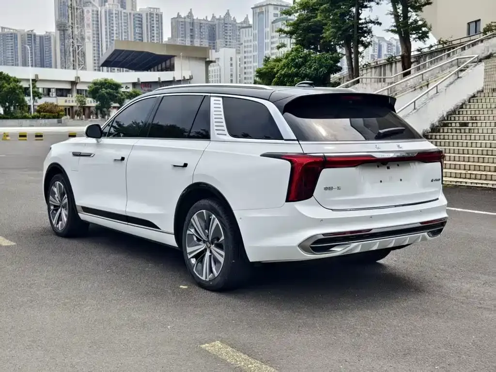 Hongqi E-HS9 — фото 6
