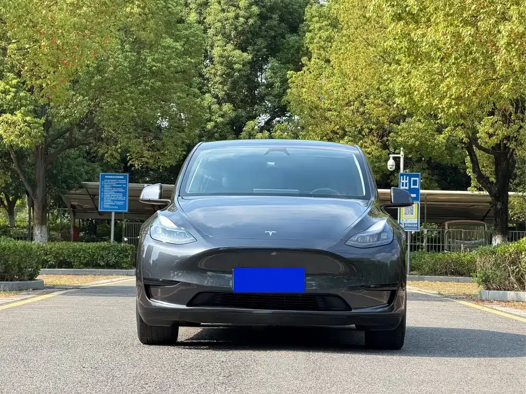 Tesla Model Y — фото 7