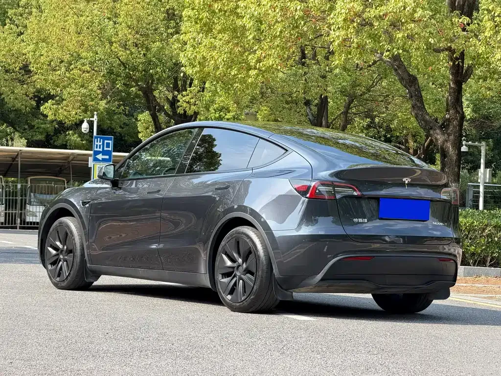 Tesla Model Y — фото 10