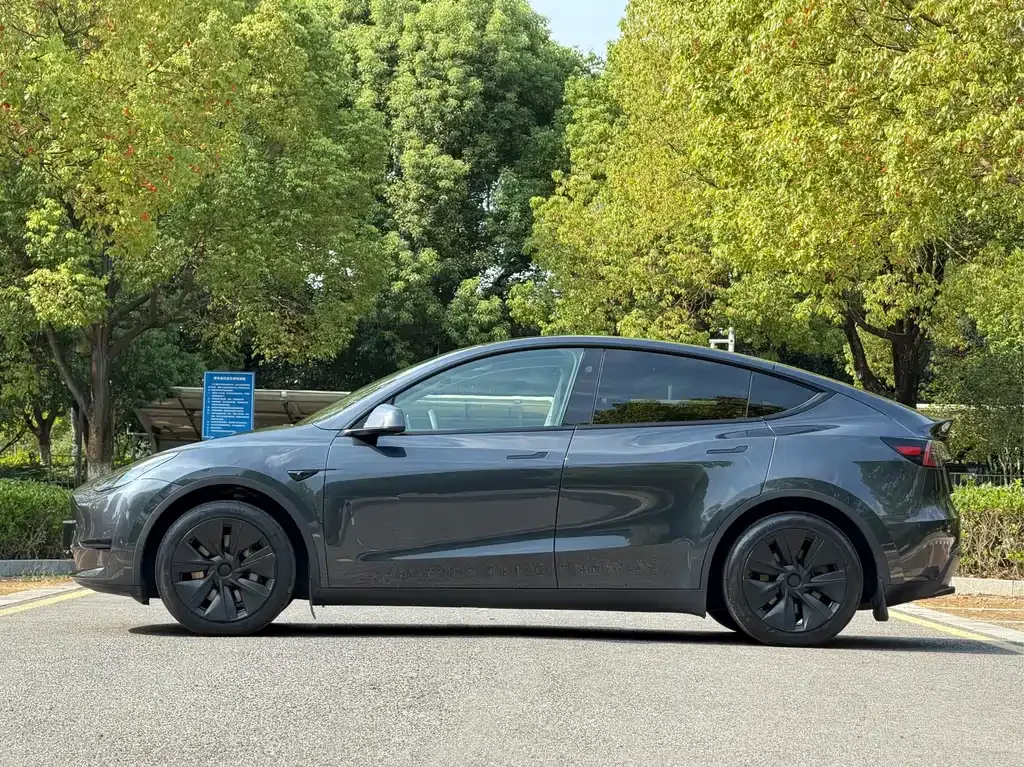 Tesla Model Y — фото 9