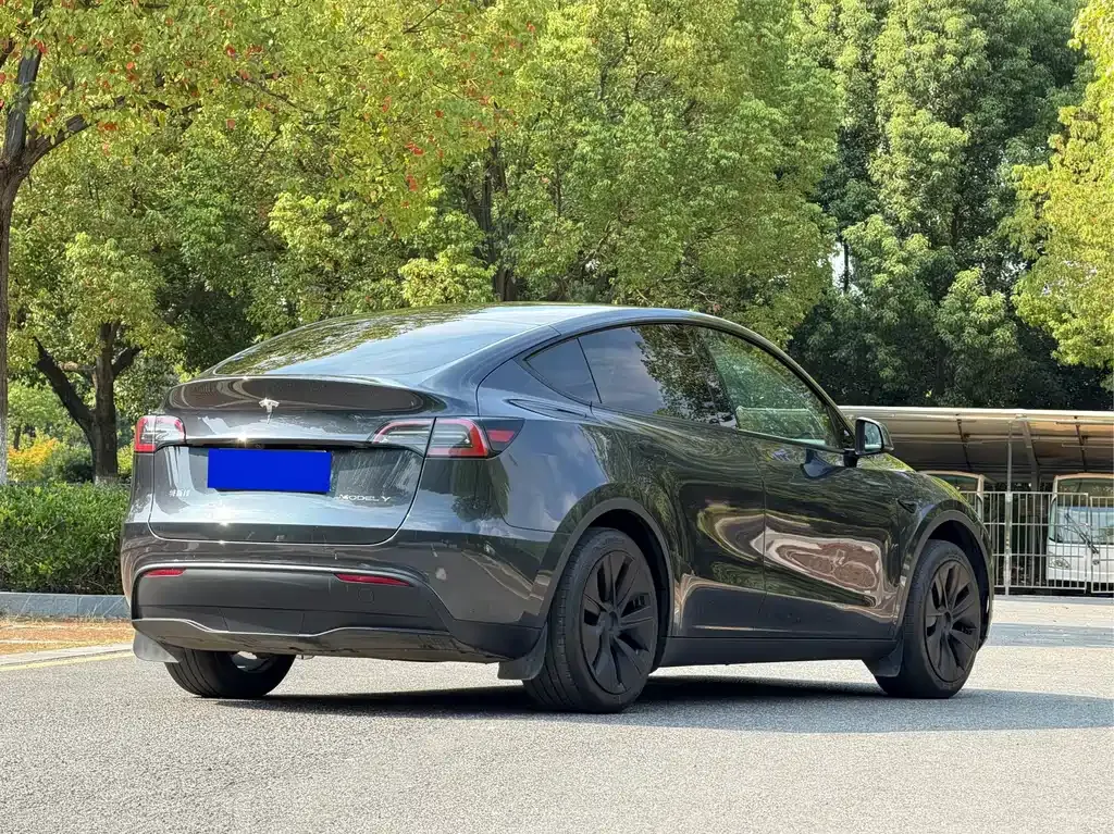 Tesla Model Y — фото 8