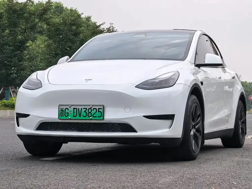 Tesla Model Y — фото 1