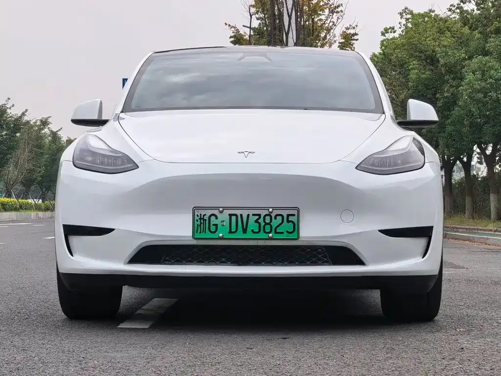Tesla Model Y — фото 7