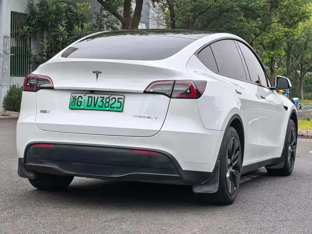 Tesla Model Y — фото 8