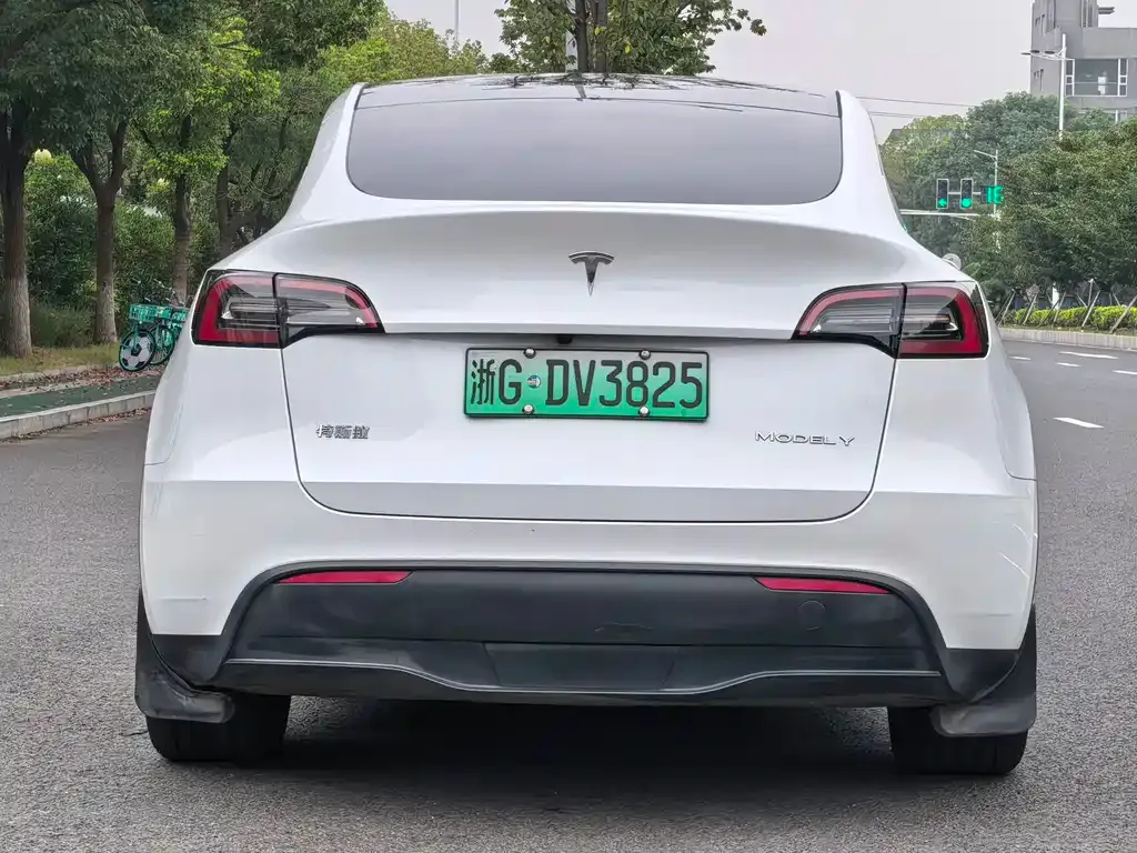 Tesla Model Y — фото 9