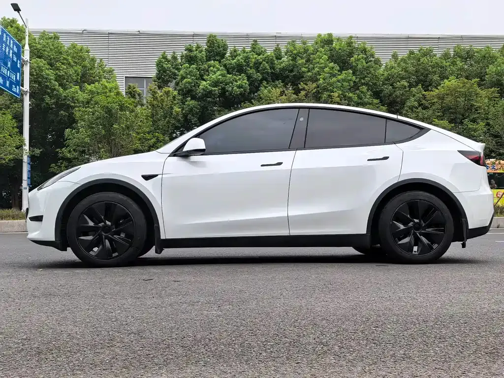 Tesla Model Y — фото 10