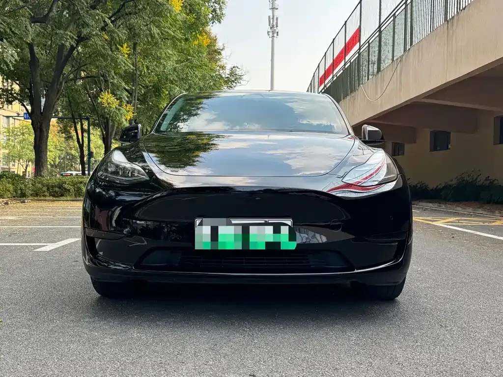 Tesla Model Y — фото 1