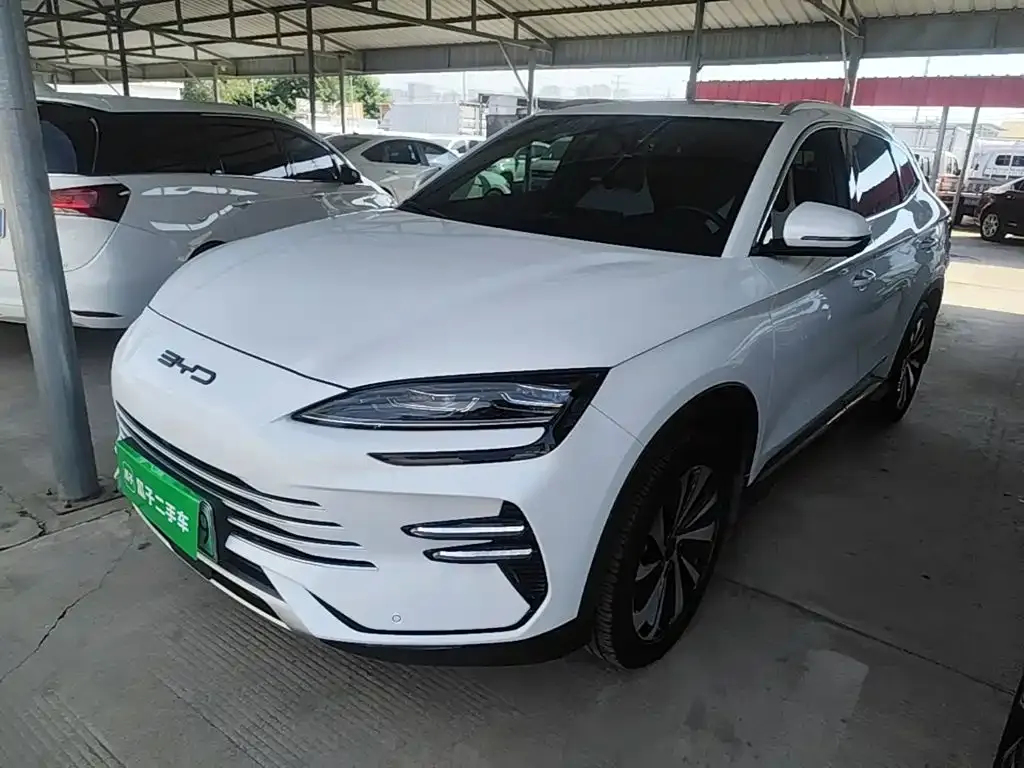 BYD PLUS New Energy — фото 1