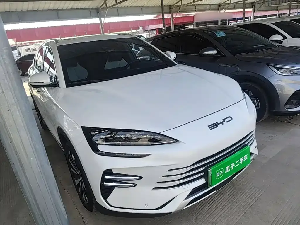 BYD PLUS New Energy — фото 8