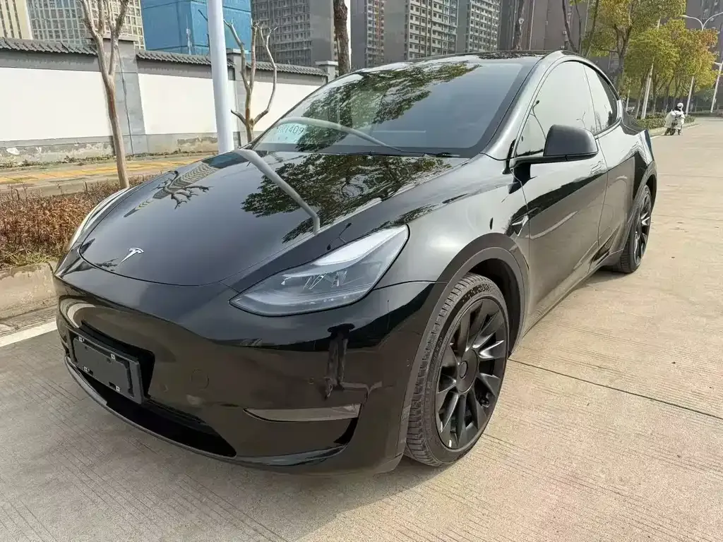 Tesla Model Y — фото 1