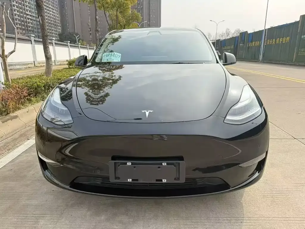 Tesla Model Y — фото 8
